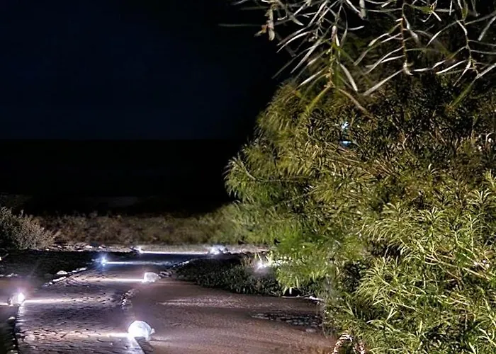 Mary ゲンナジー